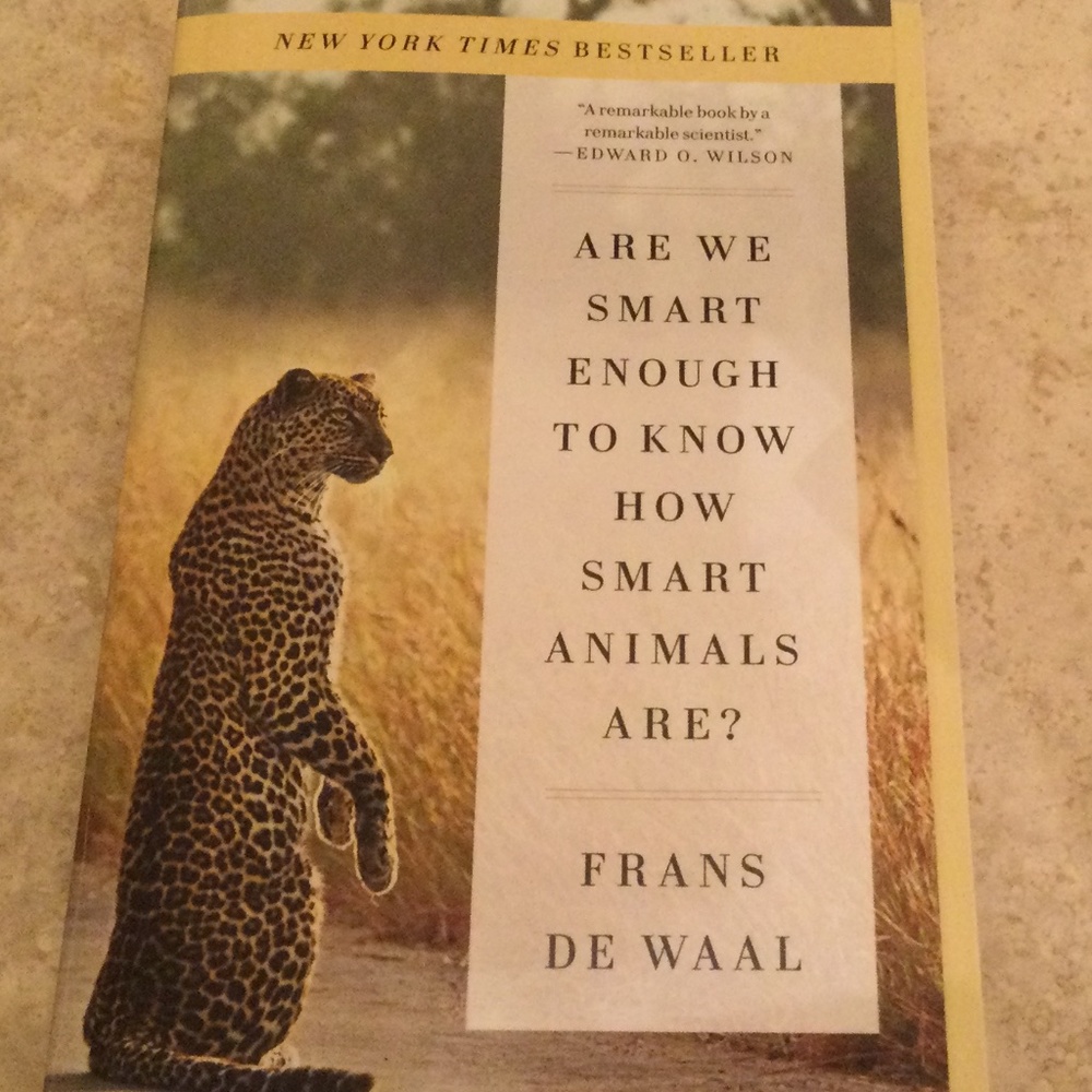 How Smart Animals Are